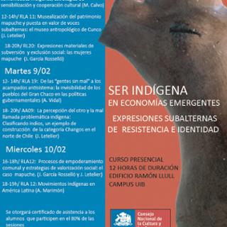 CARTEL SER INDGENA DEFINITIU.jpg