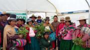 image15.jpeg