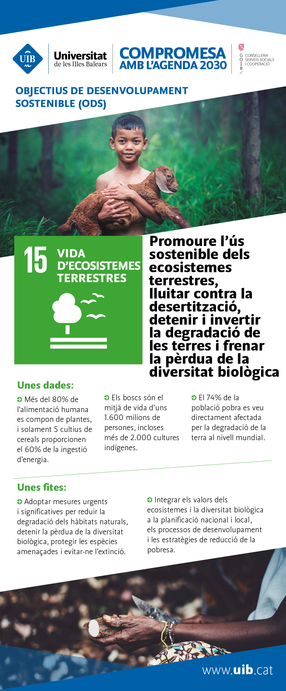 UIB compromesa amb l'agenda 2030