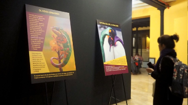 Exposició: Tranqui. La diversofobia tiene cura