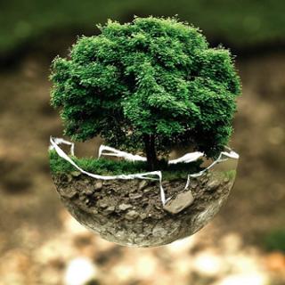 environmental-protection-683437_1280.jpg