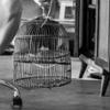 Tallers teatrals: &#xab;M..